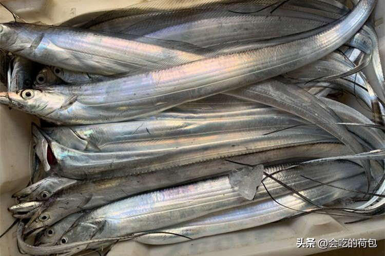春季养生要吃鱼8种鱼最肥美,春天多吃鱼推荐5款好吃的鱼类
