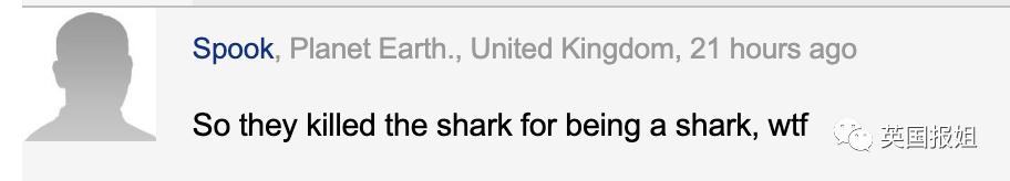 俄罗斯男子在海边被鲨鱼咬死,俄罗斯男子被鲨鱼咬死鲨鱼被捕