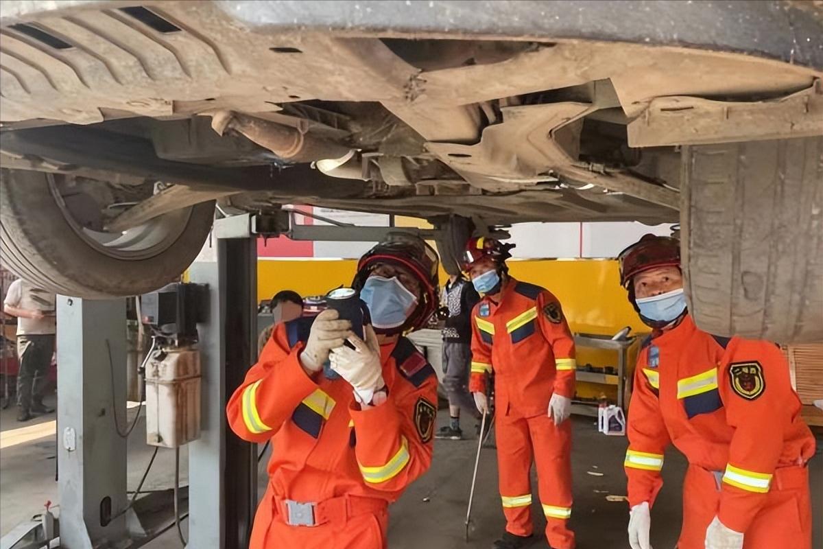 蛇最怕什么农村怎么防蛇,蛇最怕什么东西驱赶