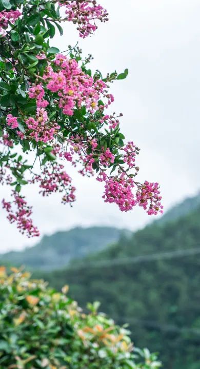 千岛湖风光如诗画,千岛湖景色美如画