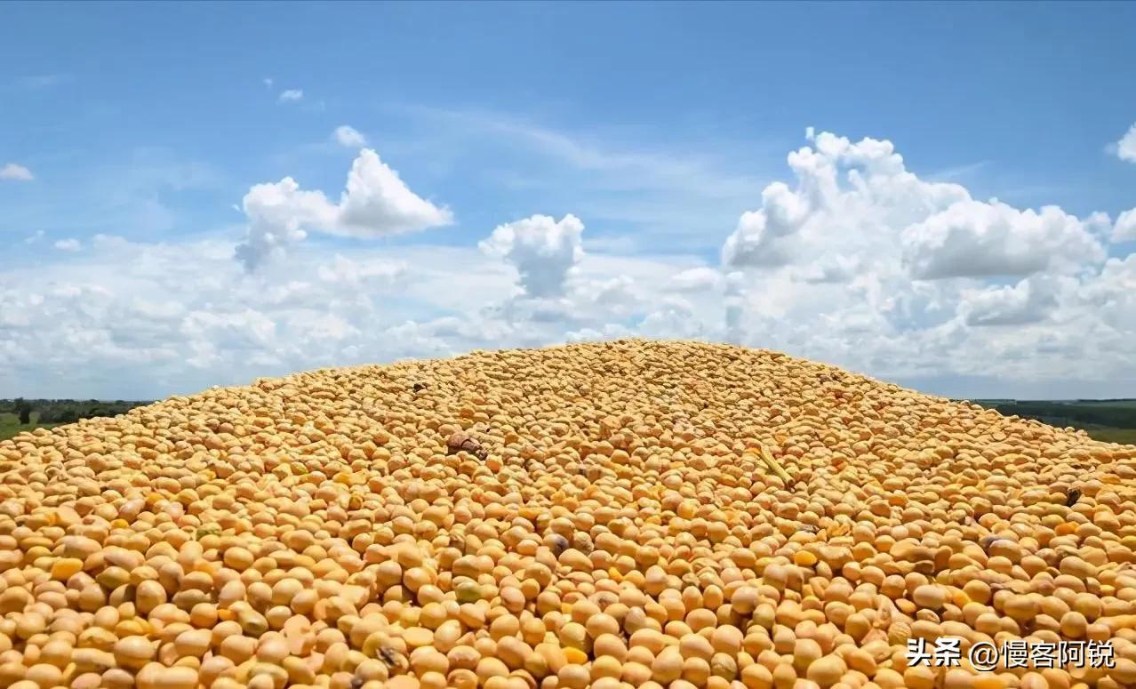 从巴西人挨饿谈温铁军所说的“自主性”