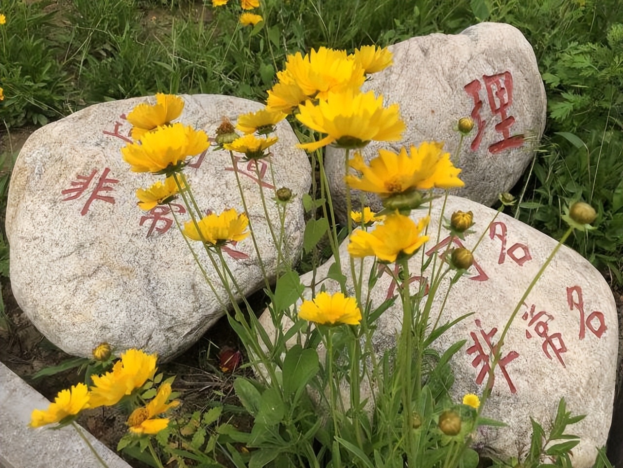 俗语说得好！“眉过眼端金碗，纹锁口无福禄”，这究竟是啥意思？