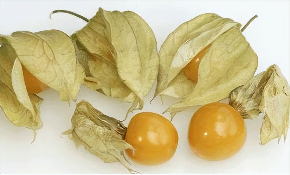 类似灯笼果的植物果实,灯笼果是什么水果品种