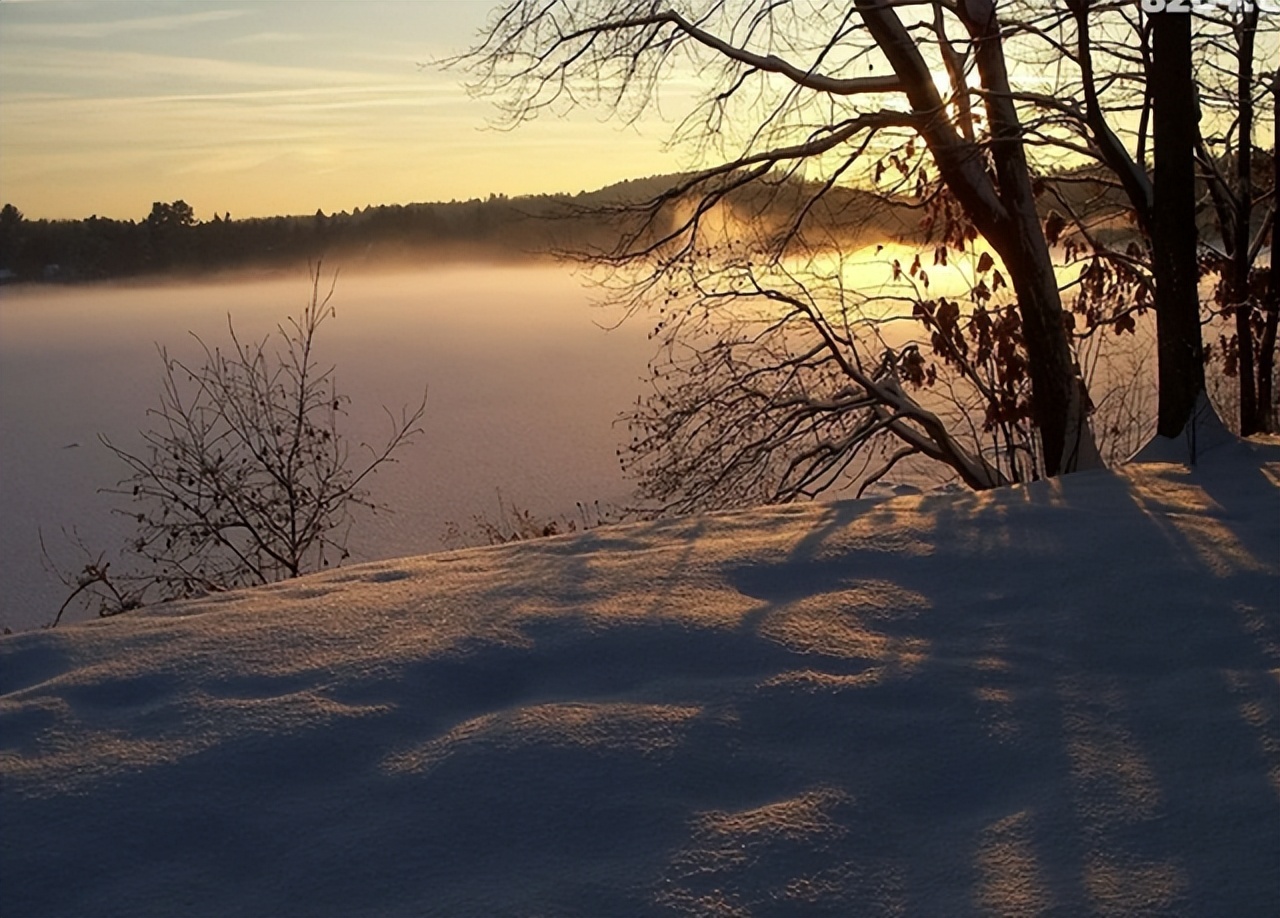 长白山的剧毒植物,长白山山里常见的有毒植物