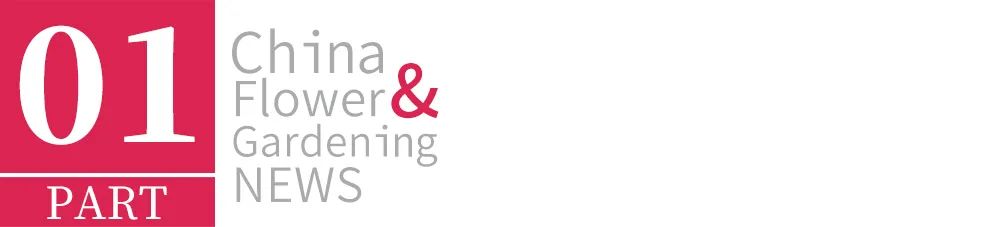 平阴玫瑰博览会门票,2019平阴玫瑰产业博览会