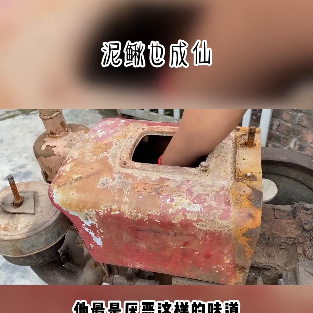 泥鳅也成仙#宝藏小说