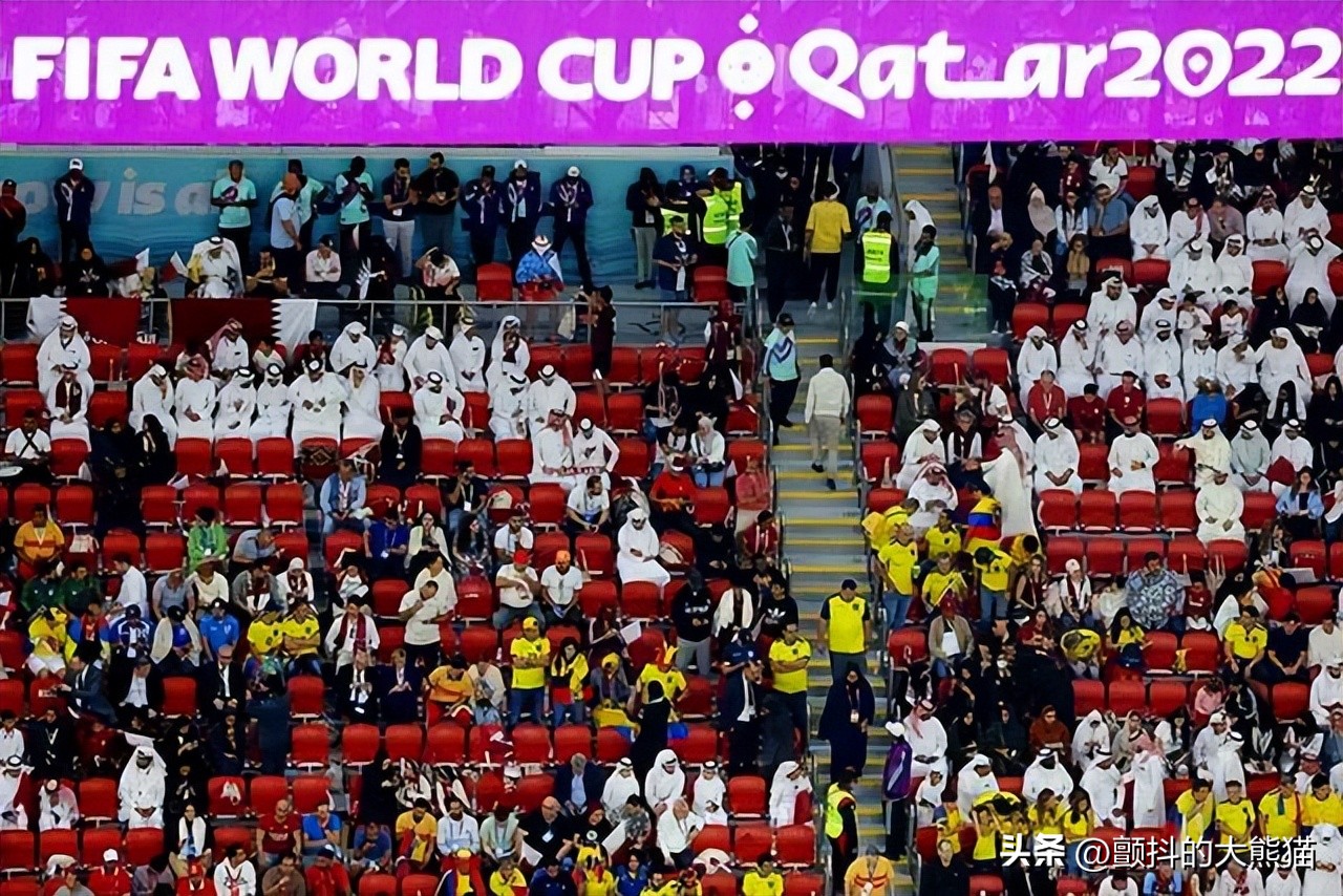 卡塔尔日本人捡垃圾,卡塔尔日本球迷清理垃圾