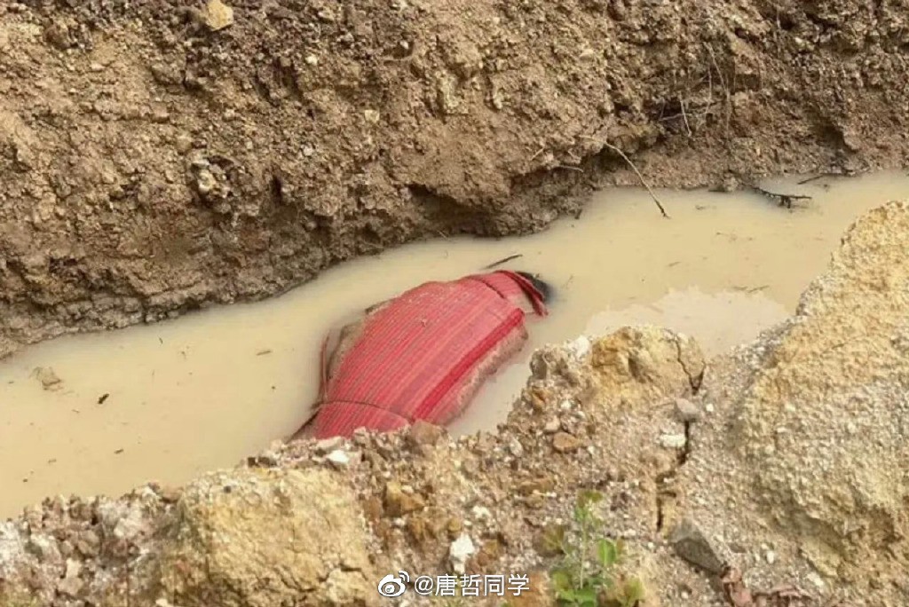 韩国女主播惨死缅甸,韩国女主播惨死柬埔寨