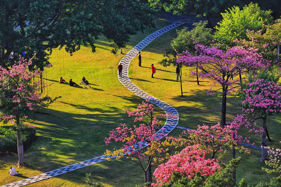 他用镜头记录旅行,他用镜头记录下了一路以来的成长