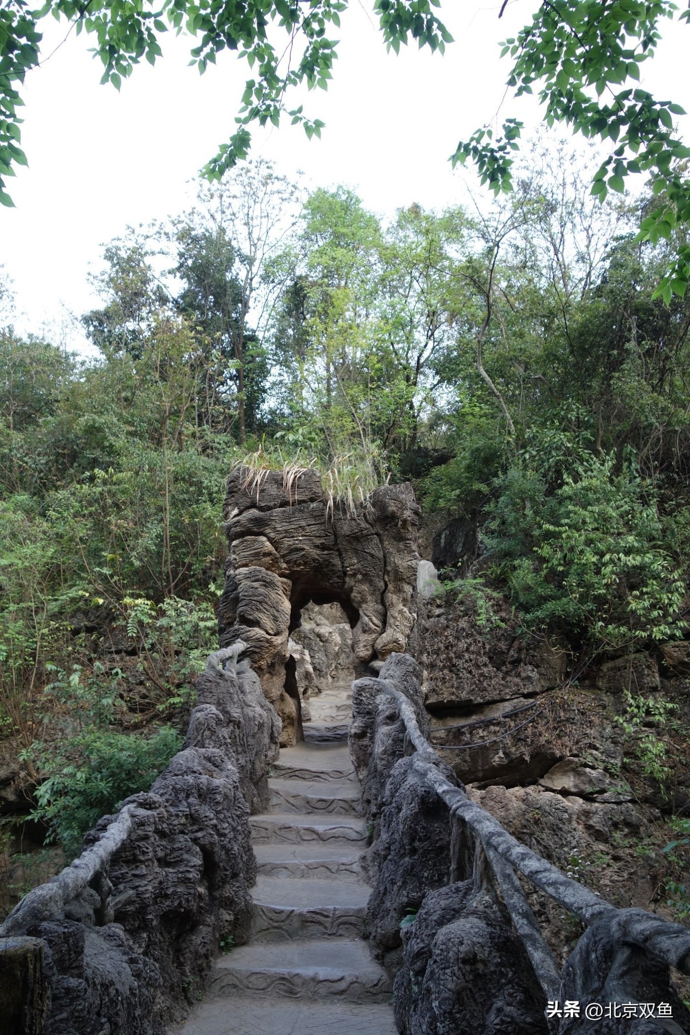 贵州黄果树最美的地方,贵州黄果树旅游攻略自由行