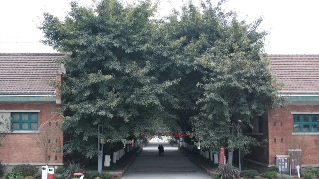 成都二仙桥属于哪个区,成都二仙桥