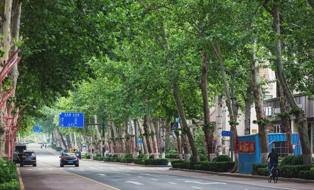 济南值得推荐的休闲好去处,济南必逛风景点