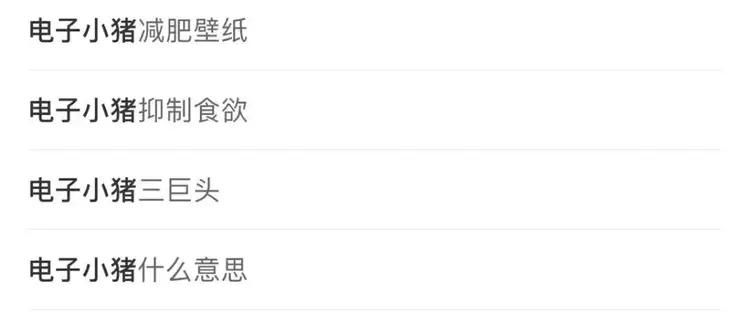 新晋网红电子小猪,网红电子小猪是怎么火的