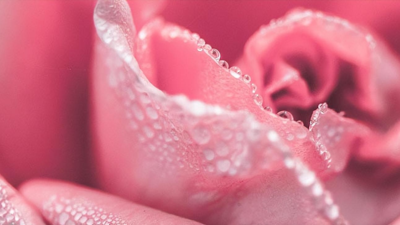 感染了hpv一定会得宫颈癌吗,宫颈癌早期10种症状做hpv多少钱