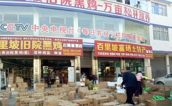 准岳父下跪求他离开女儿，决心创业进深山养鸡16年，带领村民致富