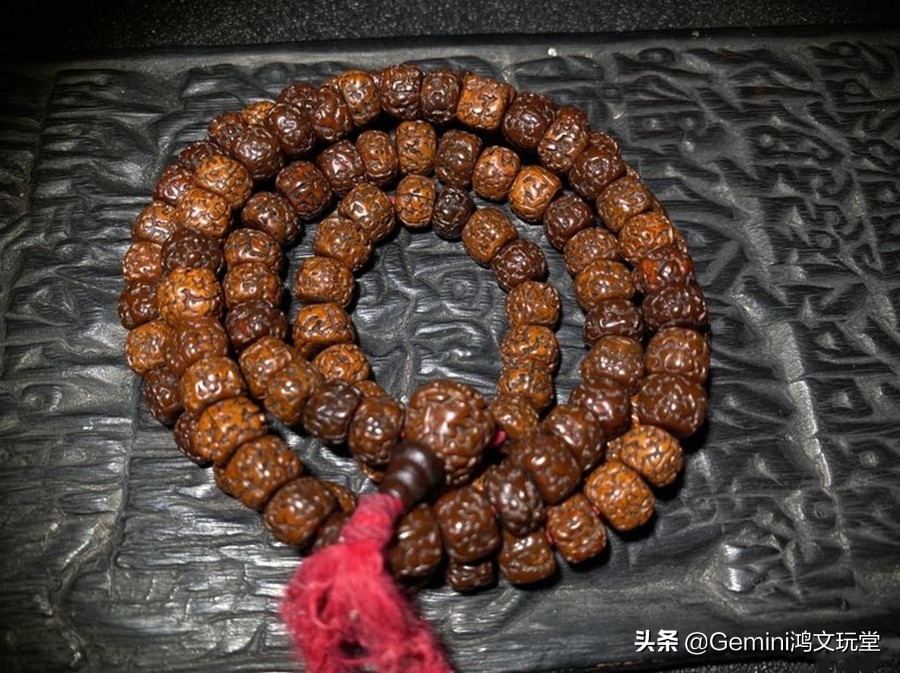 小金刚菩提时来运转,小金刚菩提走色