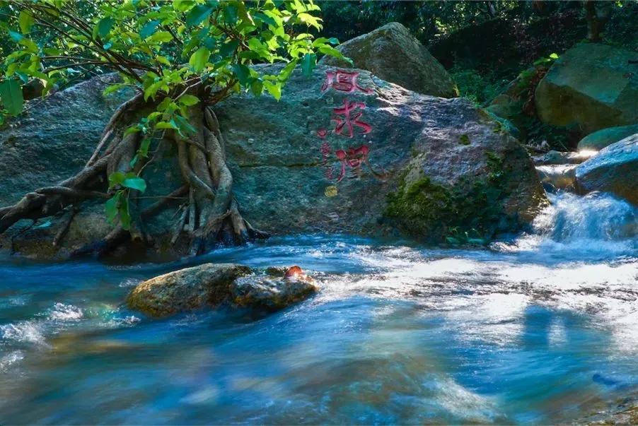 广州摘荔枝一日游最佳路线,从化自驾游荔枝采摘园