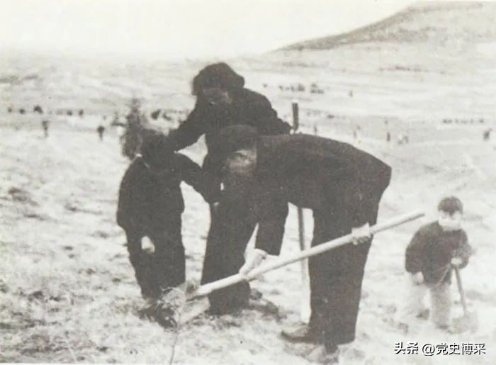 王新亭：军政兼备的开国上将，和陈赓共同打造令日军胆寒的386旅，主动让贤毛主席赞其风格高顾大局