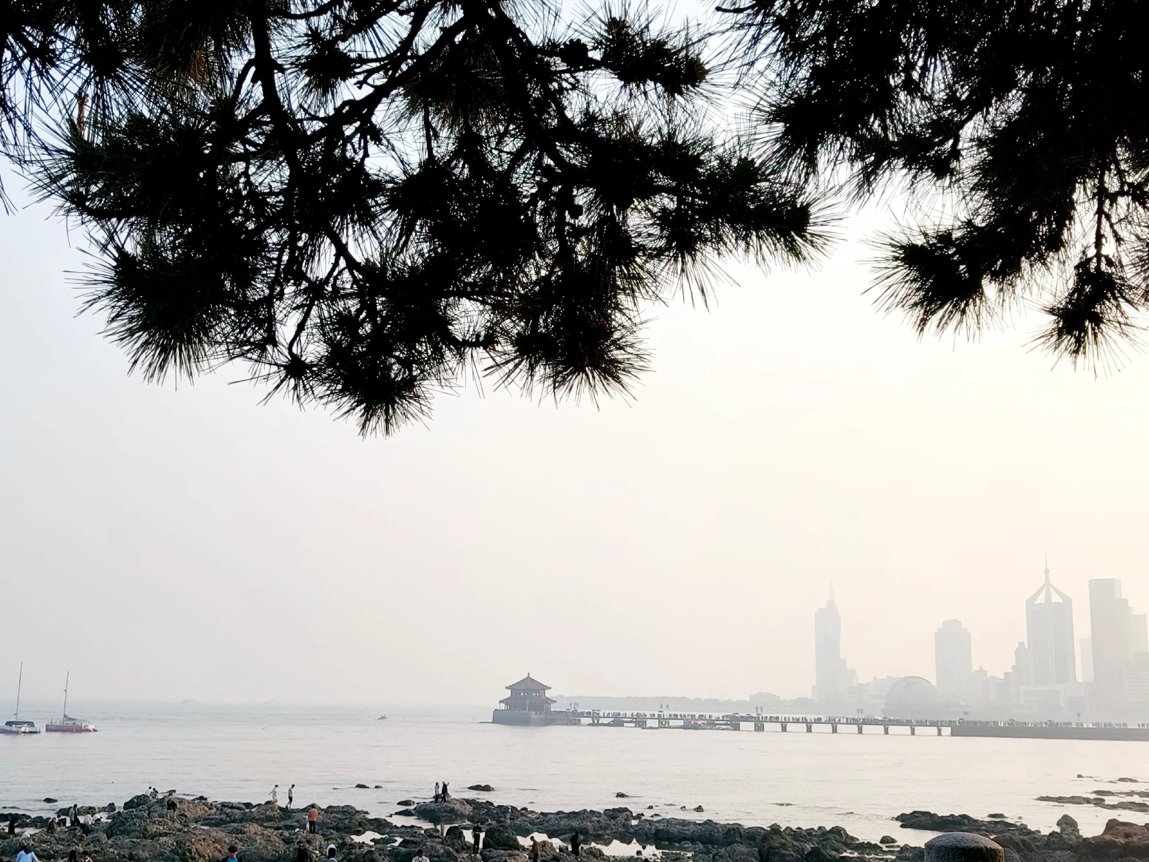 【快乐生活指南】NBA线下观赛青岛半日游信号山公园+大学路+栈桥