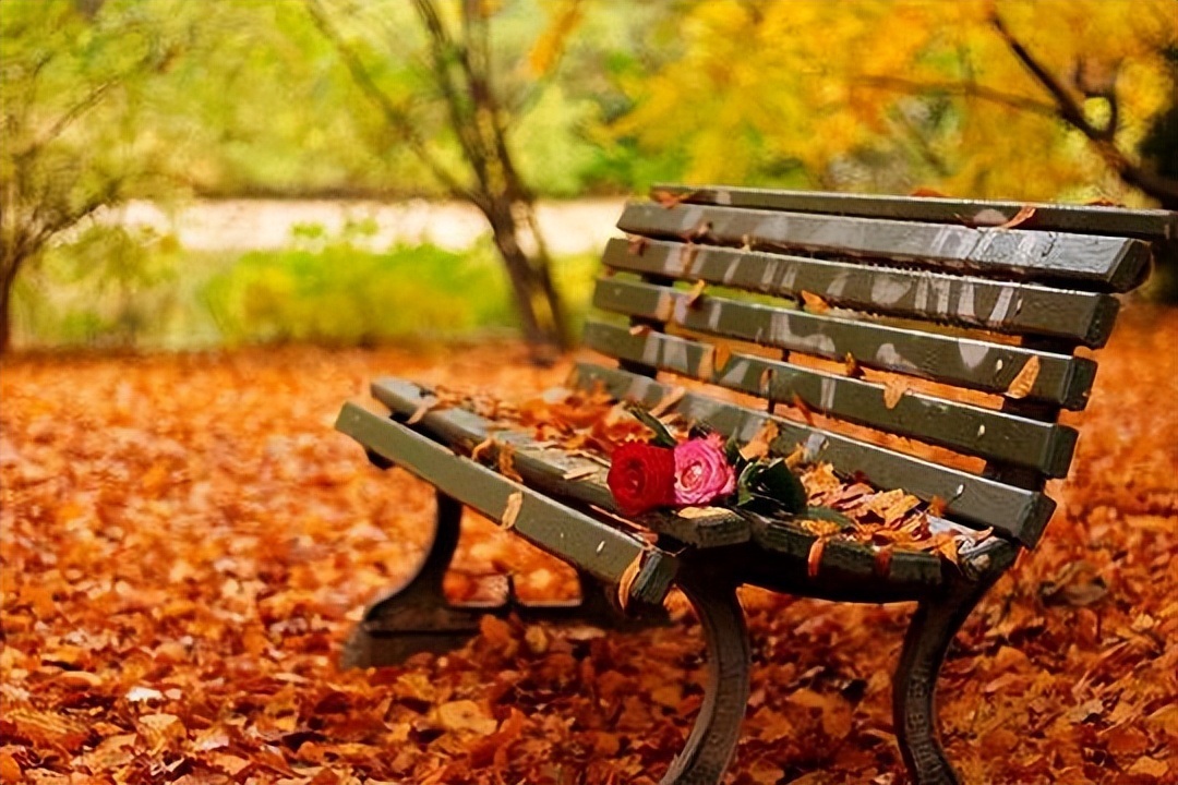 寂寞成瘾孤独成灾,寂寞成瘾完整版原唱