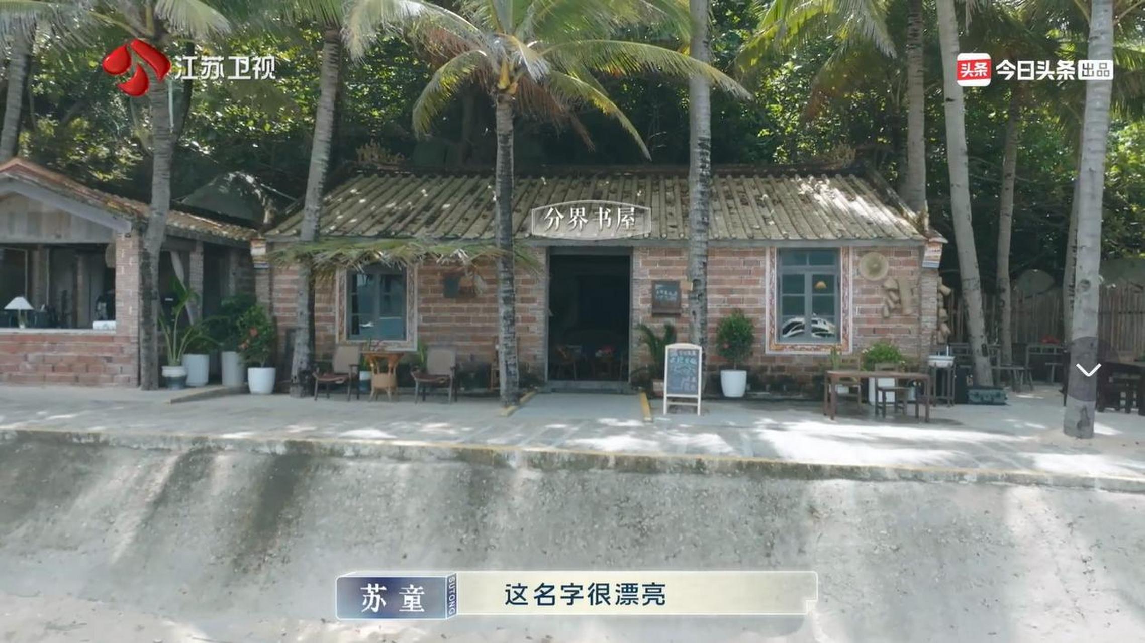 豆瓣9.8分以上的综艺,豆瓣9.6分以上的综艺