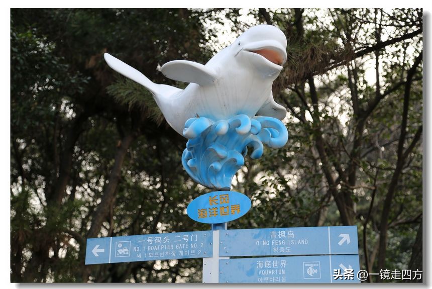 上海长风海洋公园和自然博物馆,上海长风公园占地面积