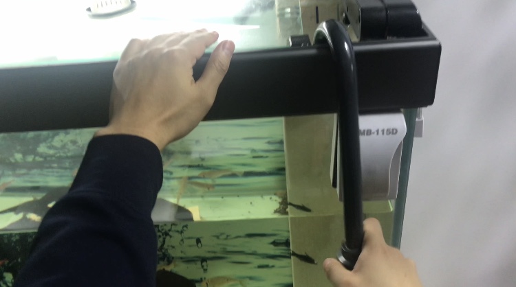 养鱼日记缸尾,养鱼日记底滤