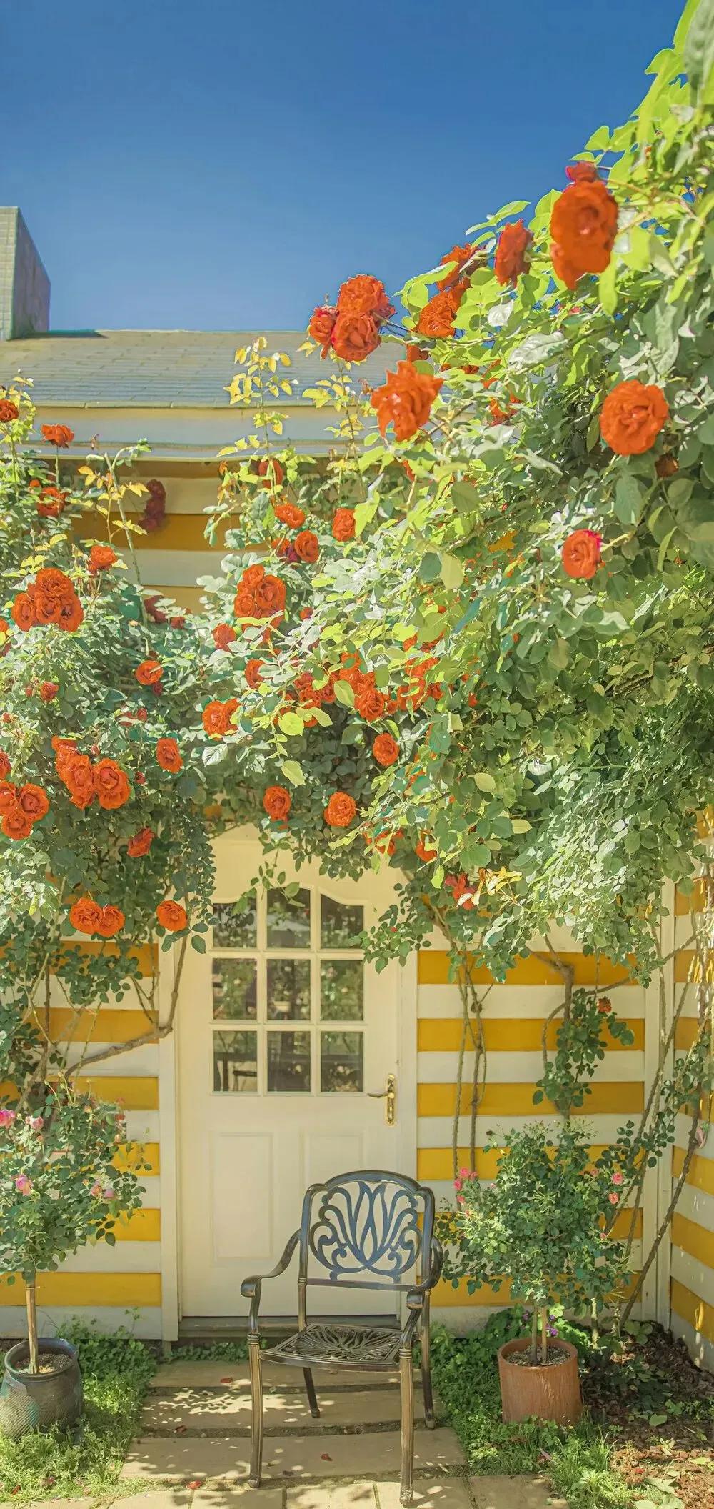 鏂板嚭鐐夋渶鎯婅壋椋庢櫙澹佺焊,椋庢櫙澹佺焊鎵嬫満瓒呮竻鍏ㄥ睆