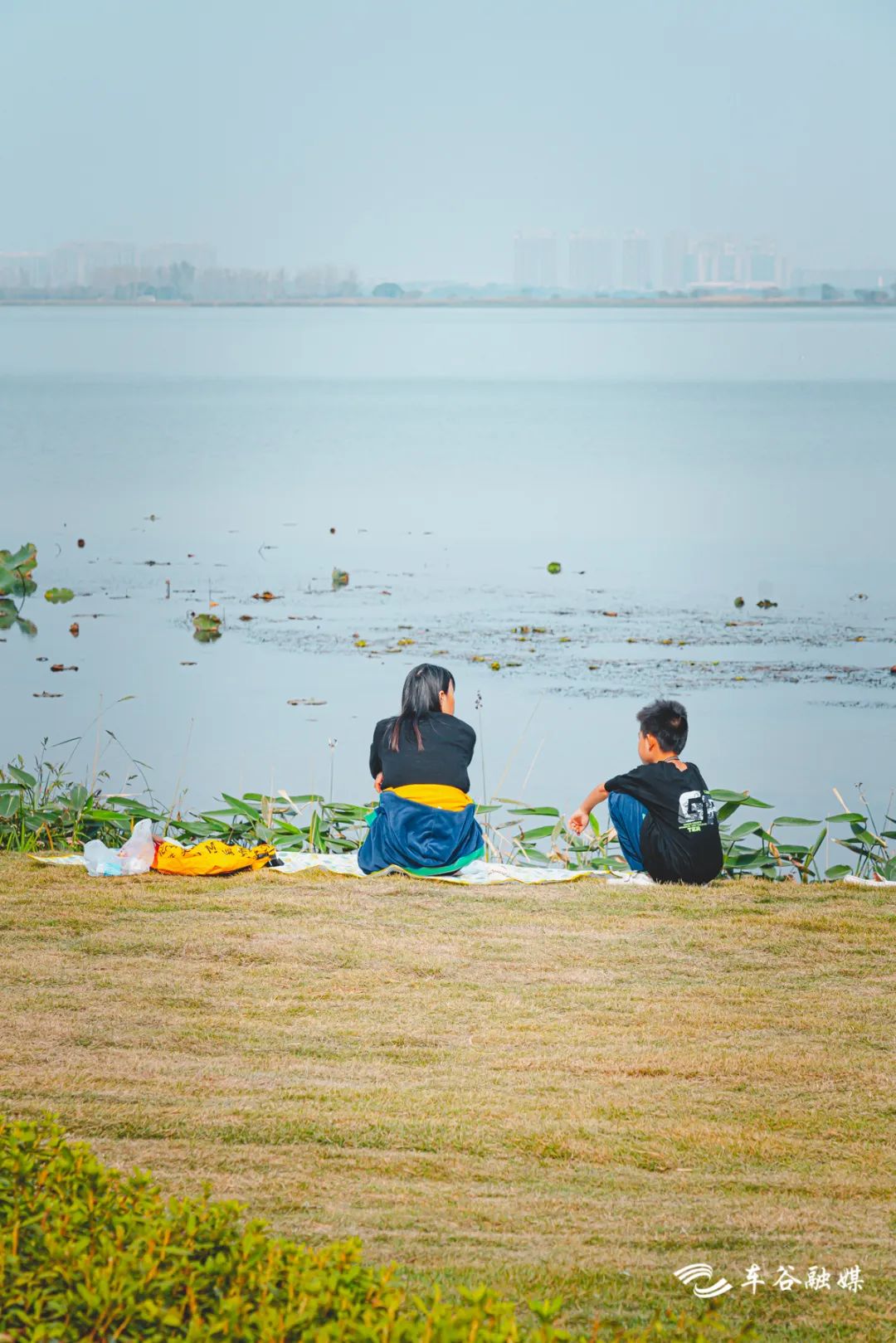 秋日暖阳骑行绿道,骑车绕城绿道值得打卡的推荐