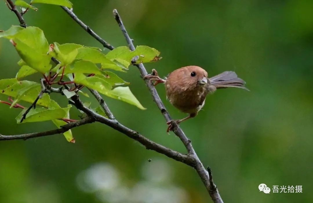 精彩绝伦作品图片,锦言精华作品