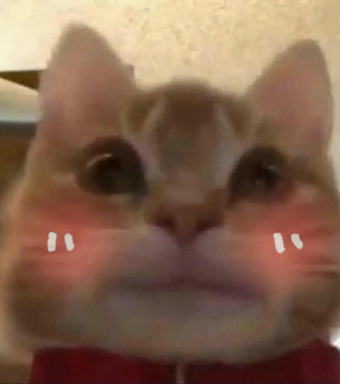 警察过肩摔制服毒贩,民警过肩摔毒贩