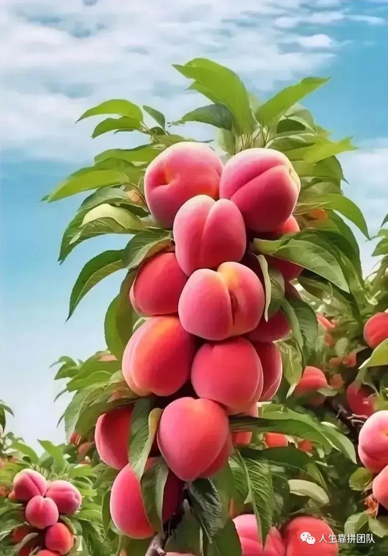 医疗损害误工费赔偿案例,医疗损害赔偿案答辩状