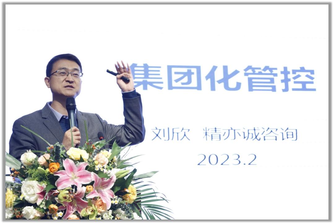 集团化企业如何加强管理,医院集团化运营管控模式