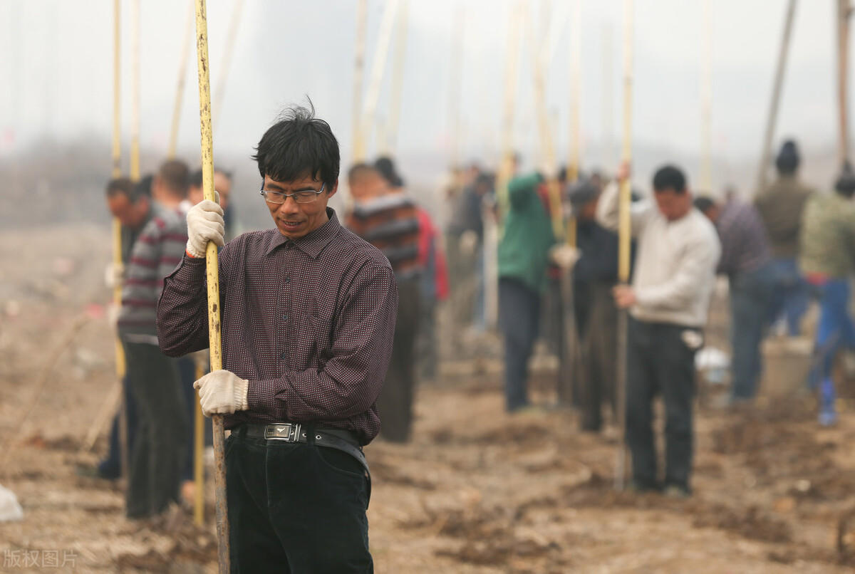 史上最全的盗墓知识,中国盗墓史