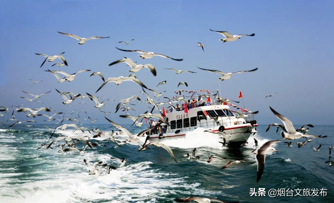 你好童年威海,你好童年即墨广播