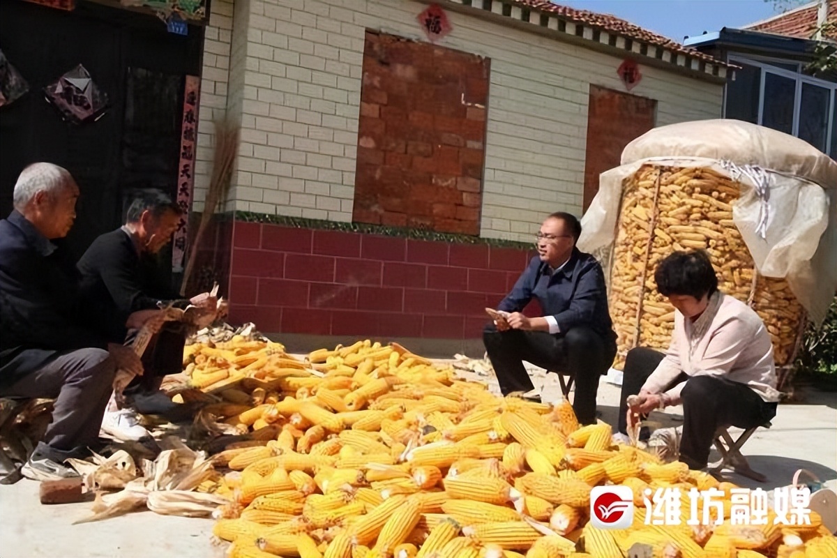 躬身入局为民安——记昌乐县委办公室驻红河镇蔡家河村“第一书记”丁翔杰