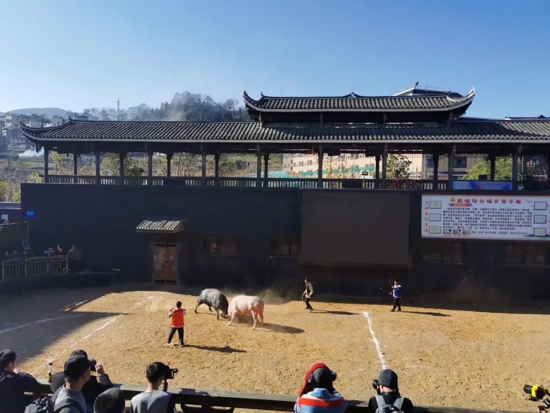 涓瑰闈為仐鎵惰传灏忛晣,涓瑰鏃呮父灏忛晣鎵惰传浜у搧