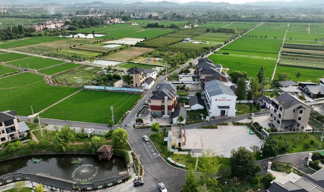 乡村振兴100讲全集,100个经典乡村振兴案例