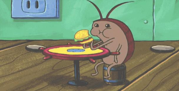 蟑螂怎么消灭最彻底蟑螂长什么样,有蟑螂怎么办灭蟑螂最有效的方法