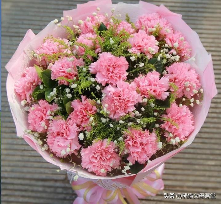 聆听花语盆景直播,聆听花语的声音