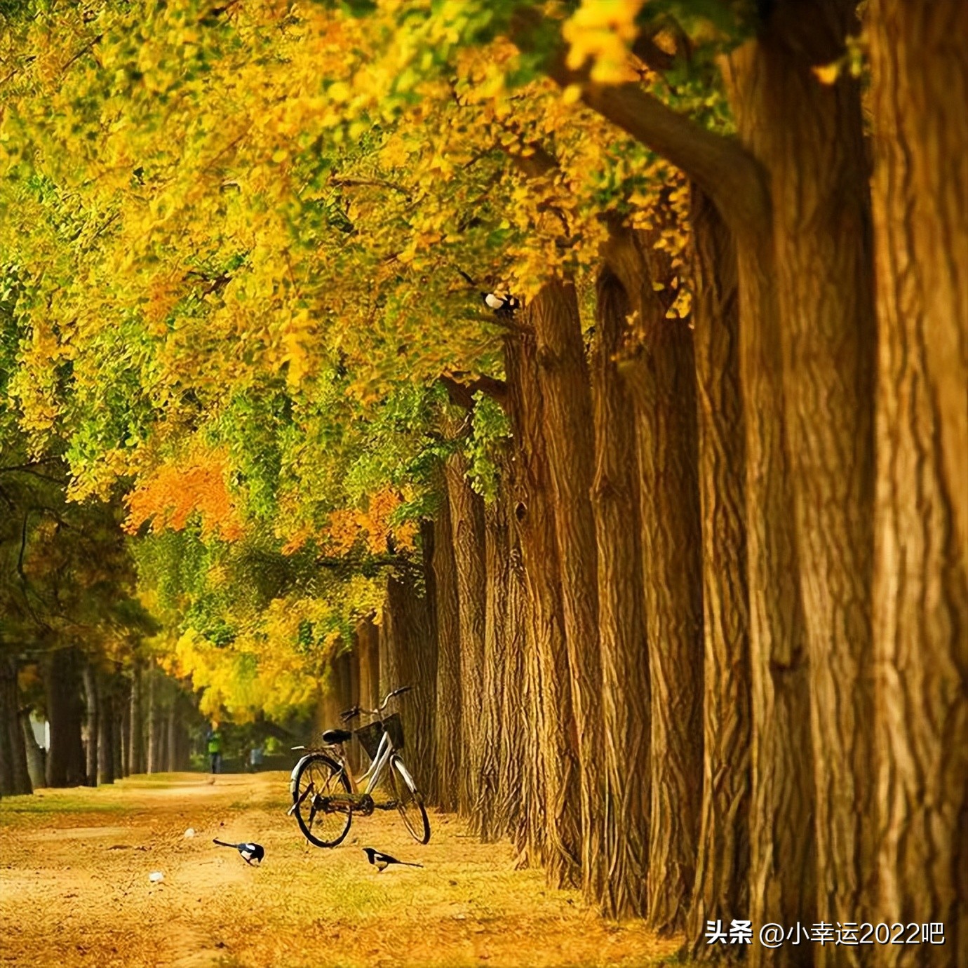 艰难的2022年,困难与机遇并存的视频