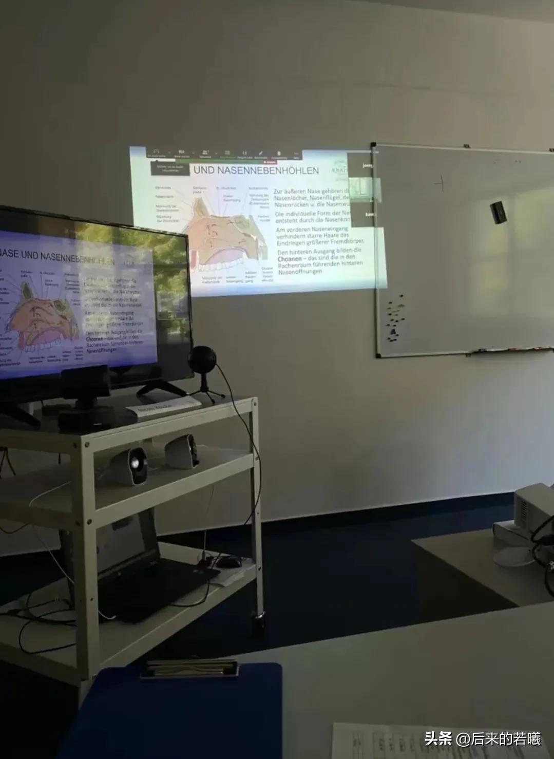 护士去德国要先学德语还是英语,我到德国留学的第一天