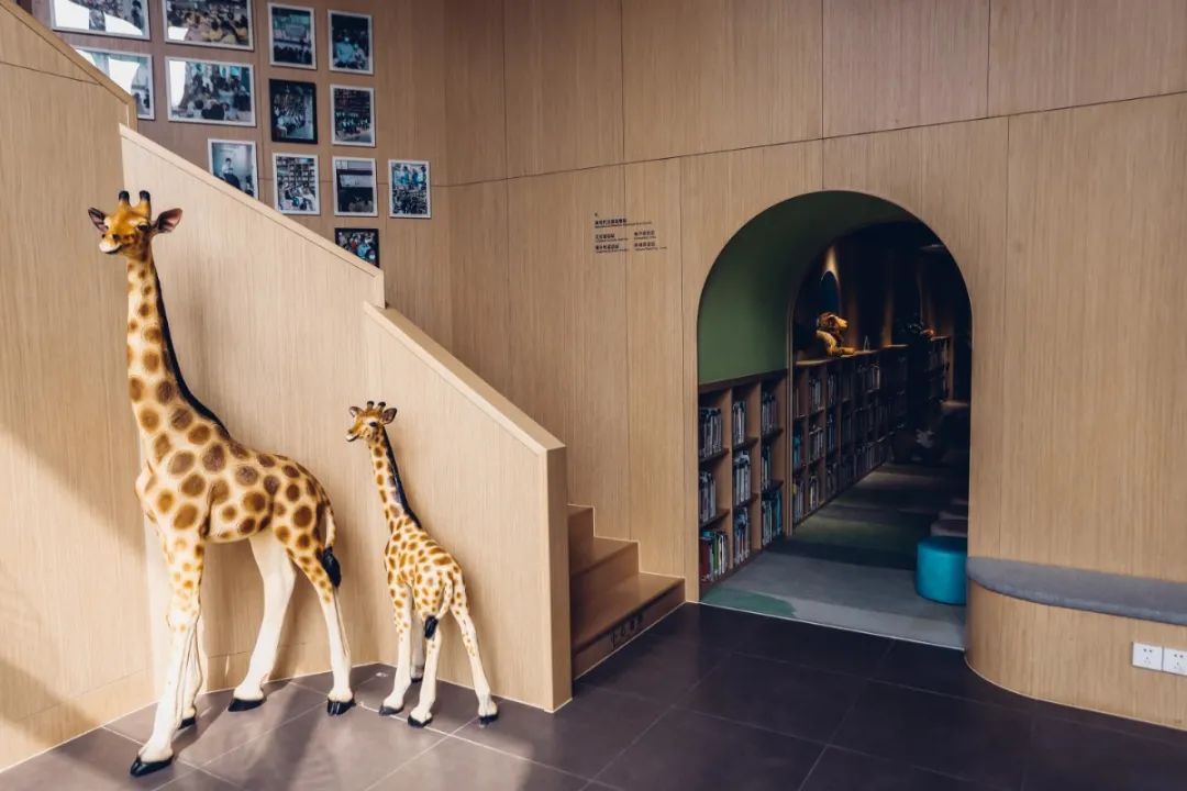 罗湖好玩拍照打卡地方推荐,罗湖游玩地点打卡攻略