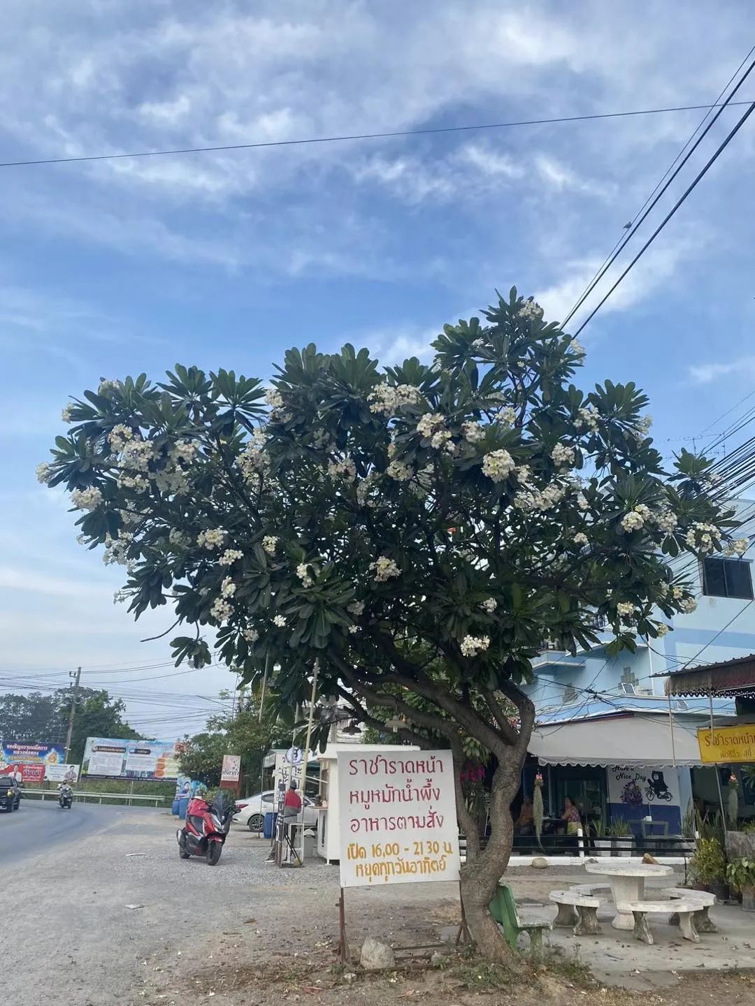 收到“噶腰子”新闻的时候，我正和老婆在泰国