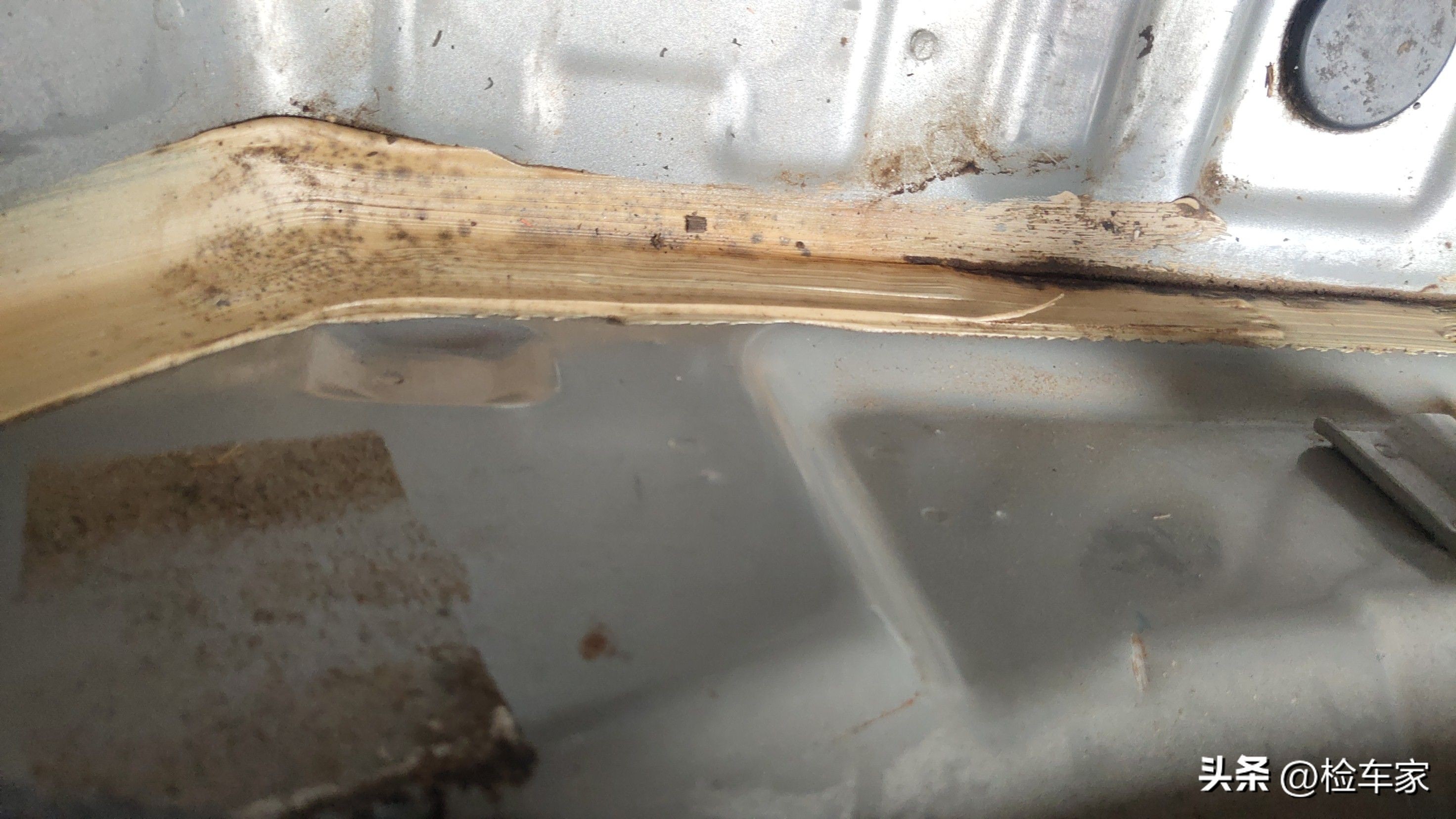 四万块钱买台7年日产阳光值不值,8年的车才2.5万多公里