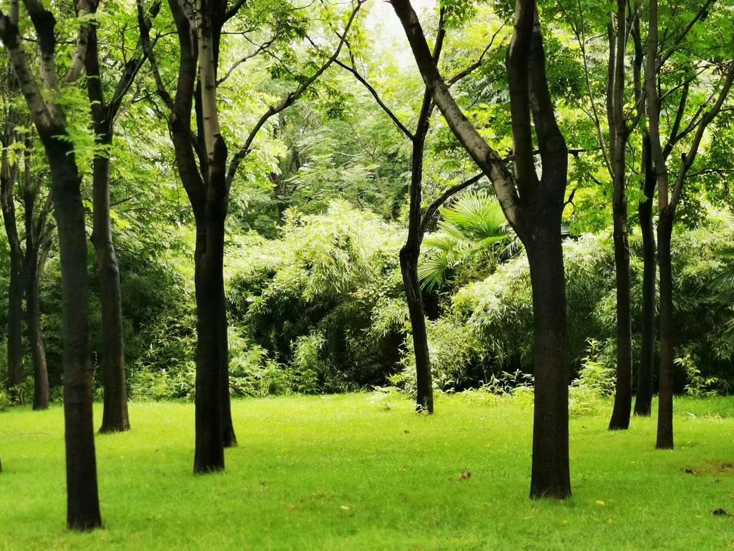 段治卿2022仲秋闲言碎语集