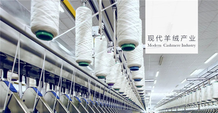 门店上千家的品牌,全国5000家门店以上的品牌店