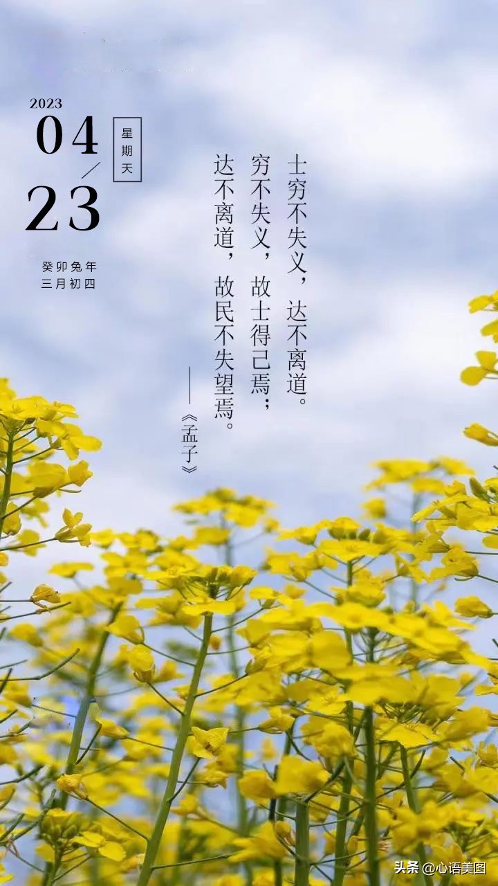 和拼搏改变命运相似的文案,人的磁场能量与命运文案