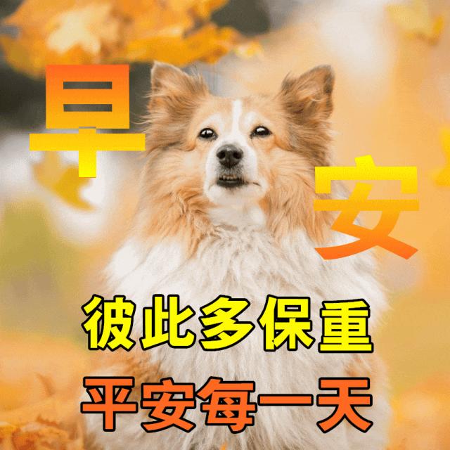 新的一周早安正能量句子图文,早安语录大全图文