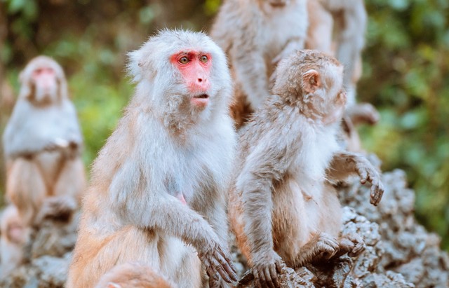 大兴野生动物园之旅,北京野生动物园和猛兽亲密接触